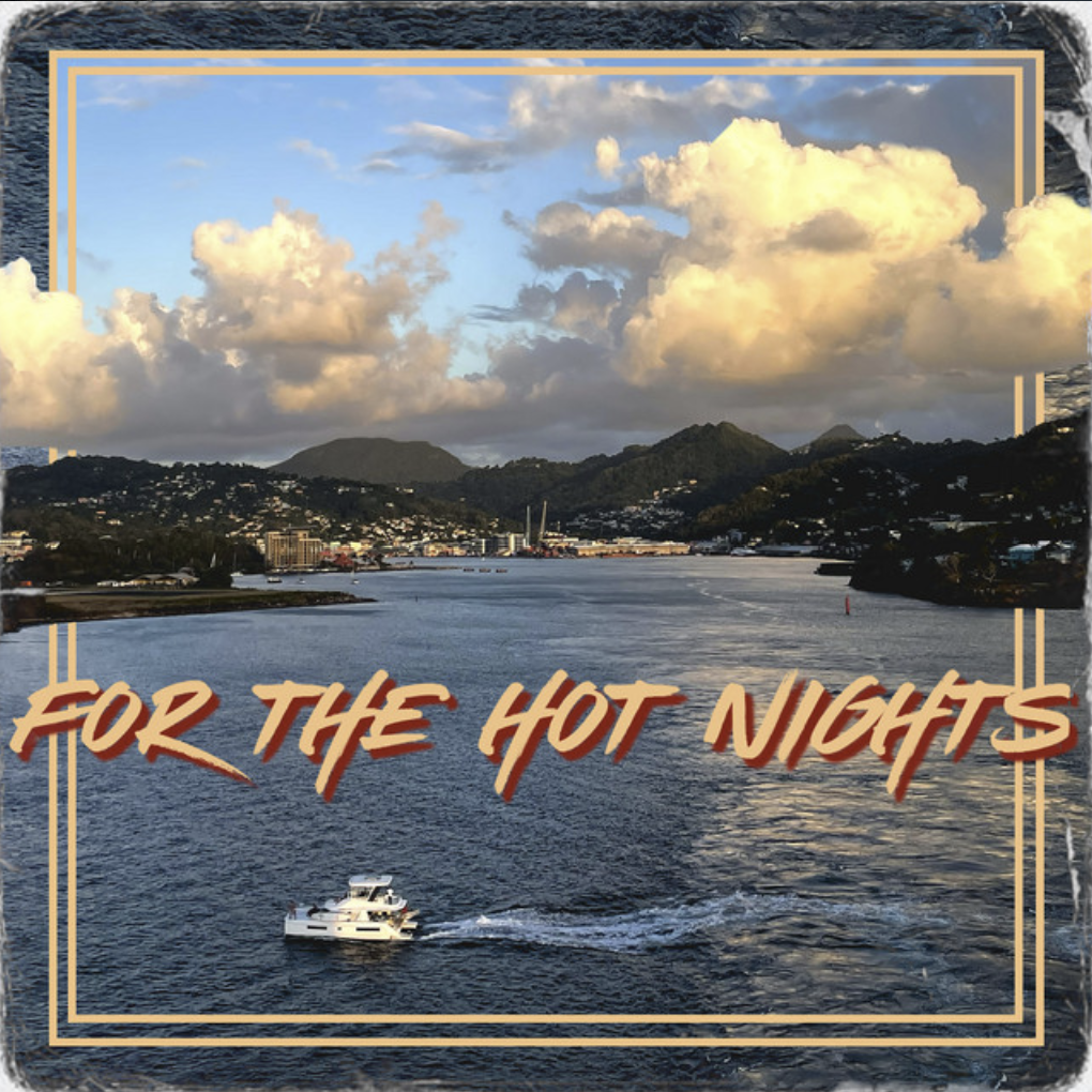 FOR THE HOT NIGHTS artwork