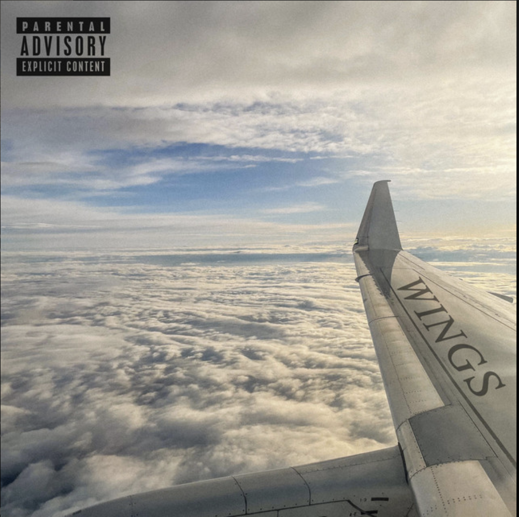 WINGS artwork
